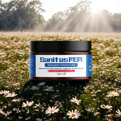 Provega | Sanitas Msm Krem 100mL