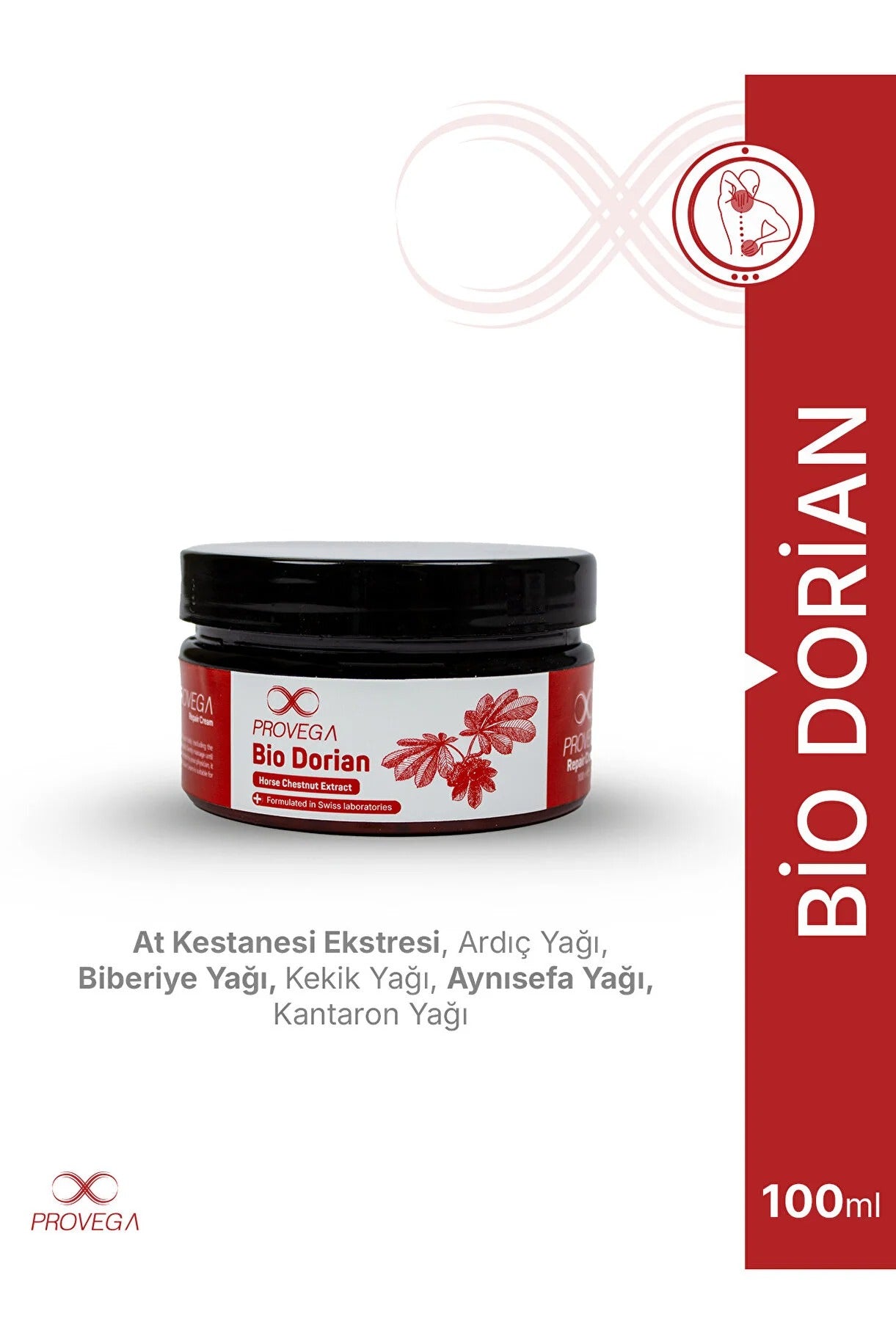 Provega | Bio Dorian (At kestaneli Krem)